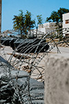 FOTO DELLA 6ª COMPAGNIA GRIFI.