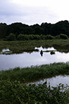 FOTO DELLA 5ª CP. PIPISTRELLI.