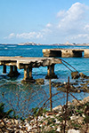 FOTO DELLA 5ª CP. PIPISTRELLI.